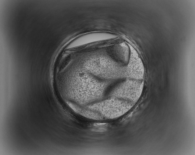 X0000092270055200710121348