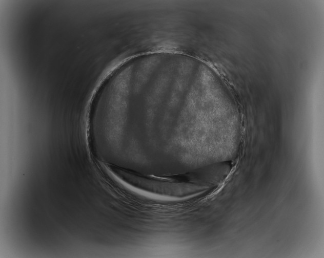 X0000092270056200710121348