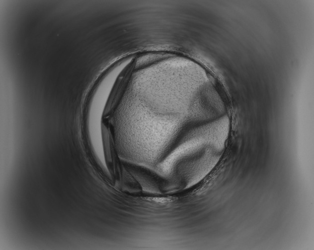 X0000092270060200710121348