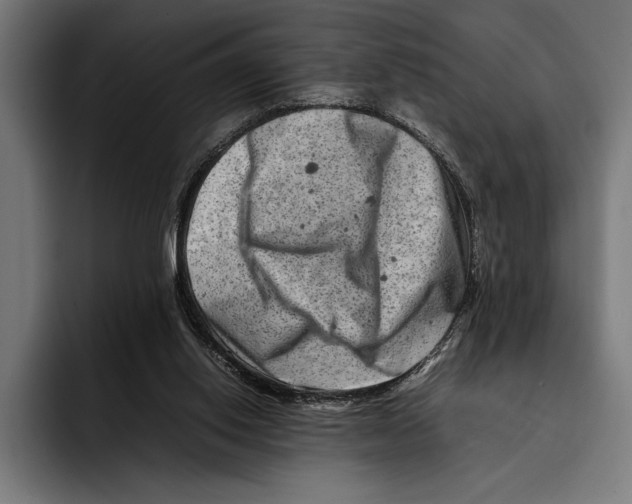 X0000092270062200710121348