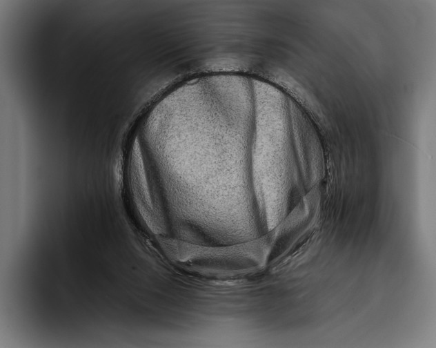 X0000092270064200710121348