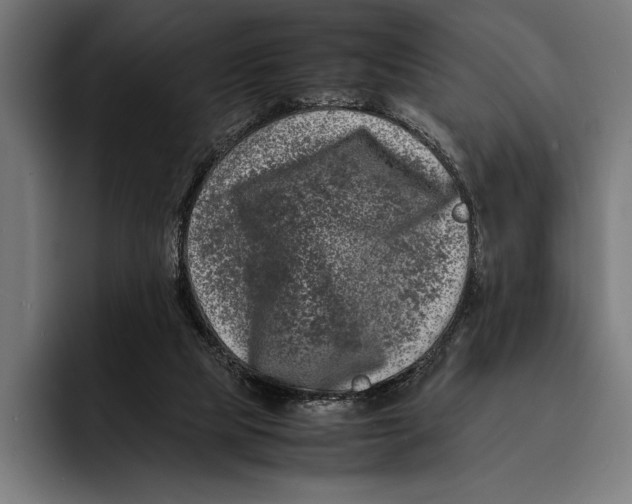 X0000092270065200710121348