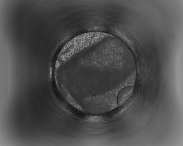 X0000092270067200710121348