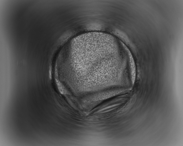 X0000092270068200710121348