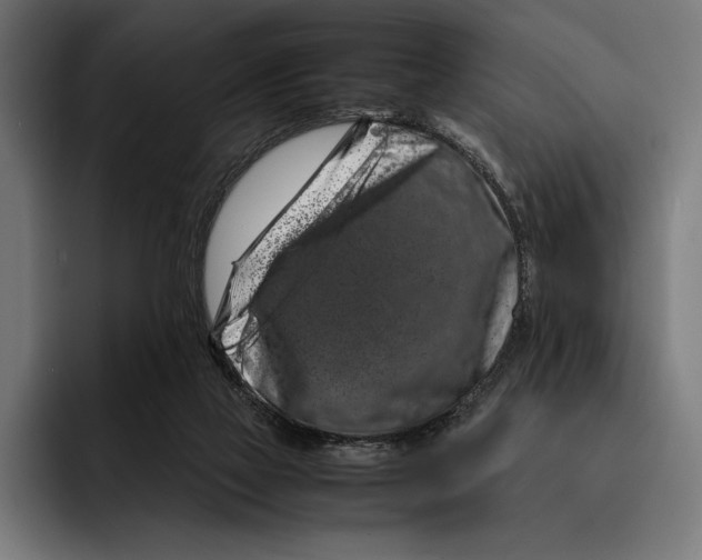 X0000092270069200710121348