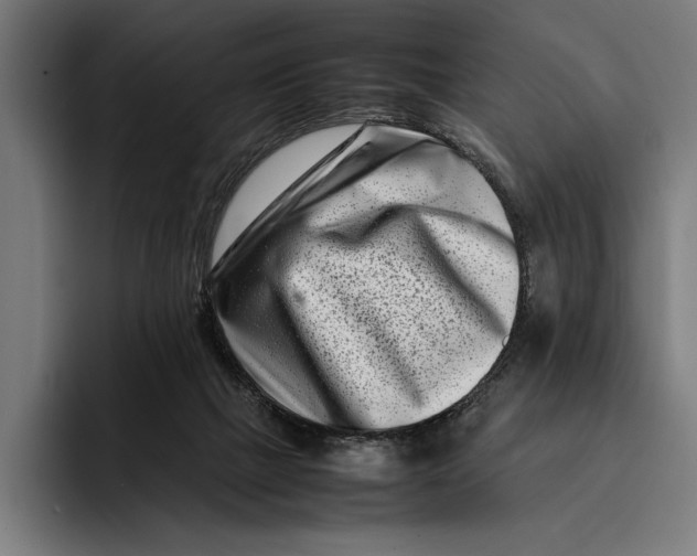 X0000092270073200710121348