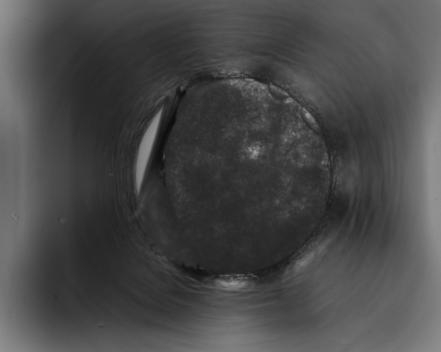 X0000092270076200710121348