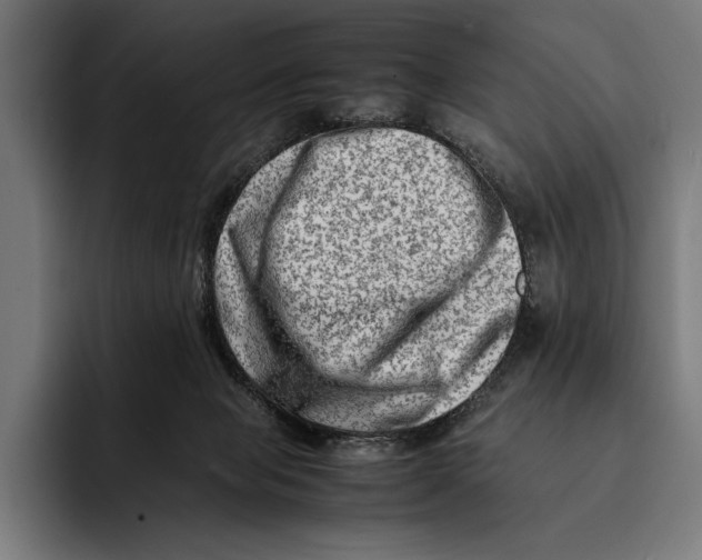 X0000092270077200710121348
