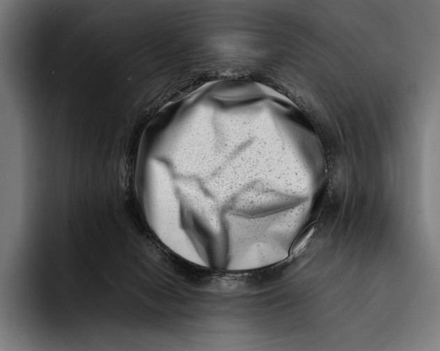 X0000092270078200710121348