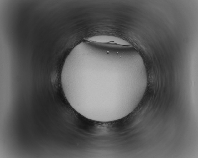 X0000092270079200710121348
