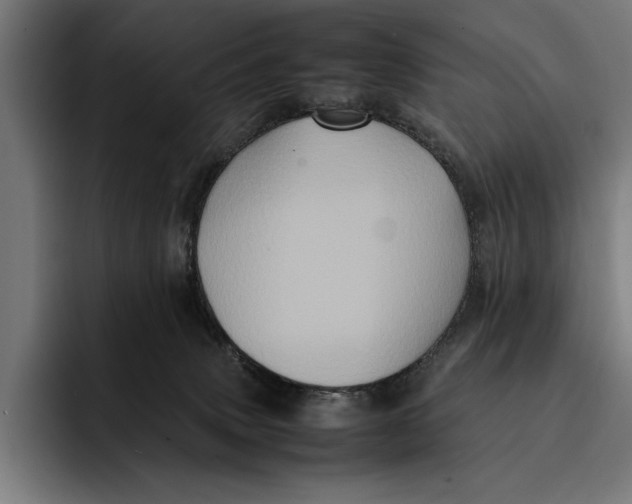 X0000092270083200710121348