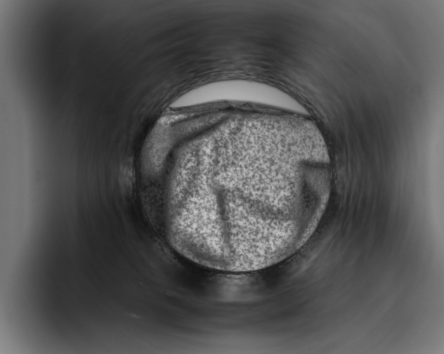 X0000092270085200710121348