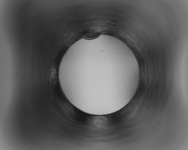 X0000092270087200710121348