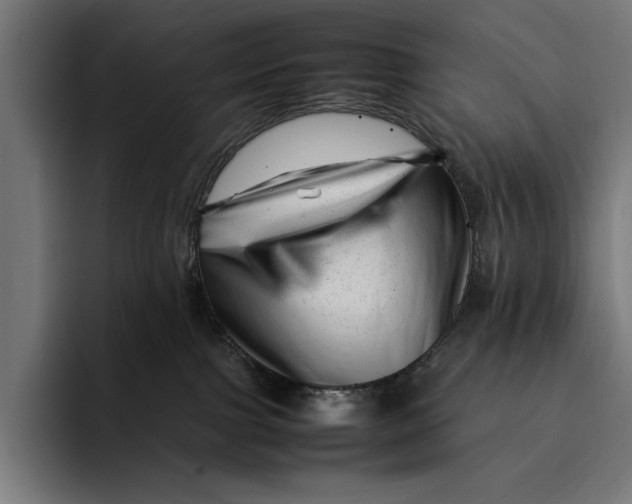 X0000092270091200710121348