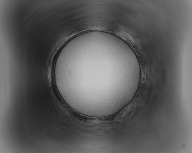 X0000092270098200710121348