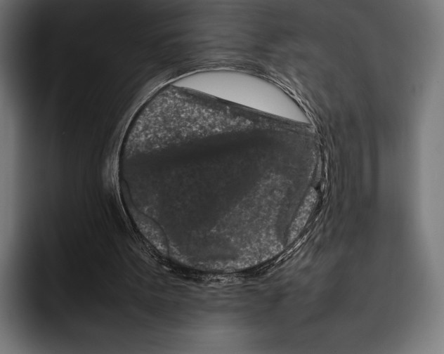 X0000092270099200710121348