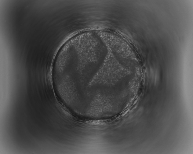 X0000092270100200710121347