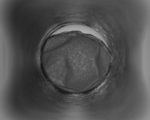 X0000092270101200710121347