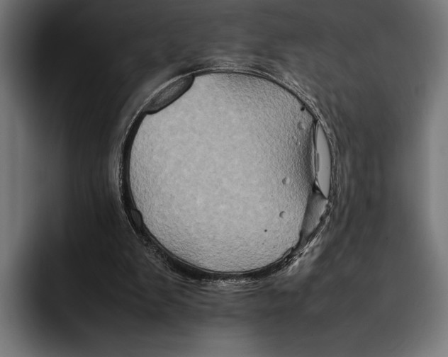 X0000092270103200710121347