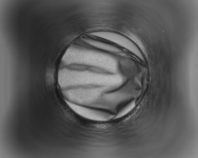 X0000092270105200710121347