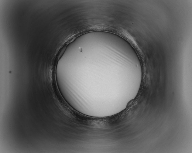 X0000092270106200710121347
