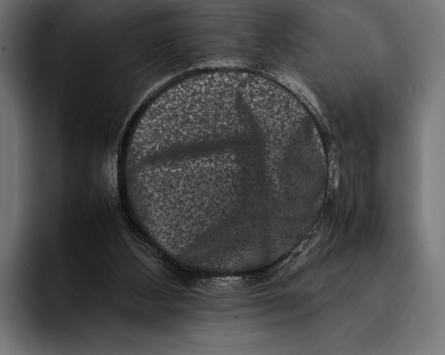 X0000092270108200710121347