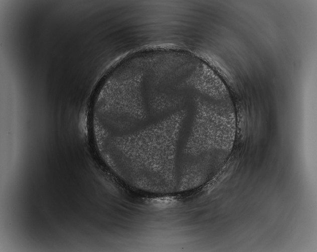 X0000092270112200710121347