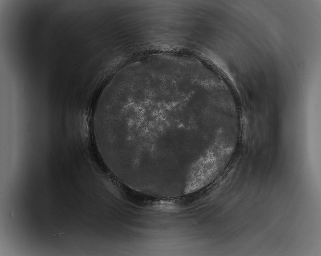 X0000092270114200710121347
