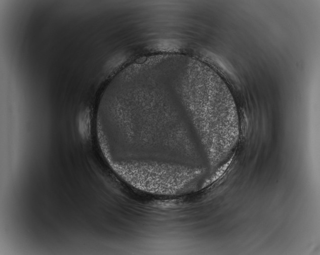 X0000092270120200710121347