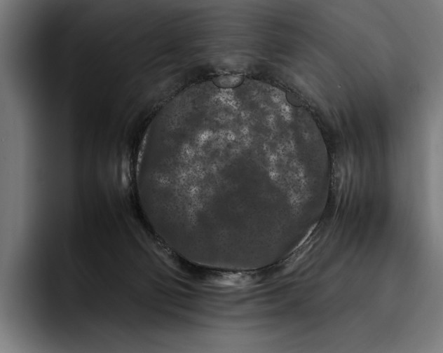 X0000092270130200710121347