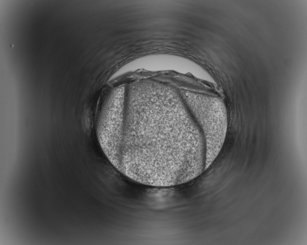 X0000092270135200710121347