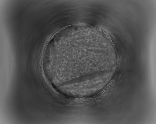 X0000092270145200710121346