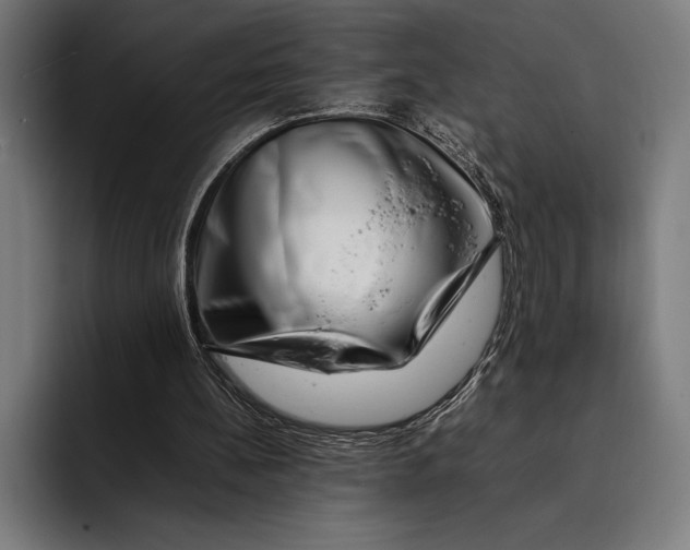 X0000092270148200710121346