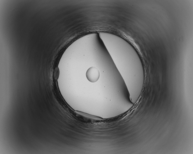 X0000092270154200710121347
