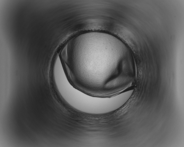 X0000092270160200710121347