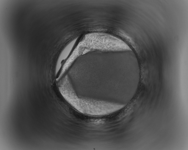 X0000092270161200710121347