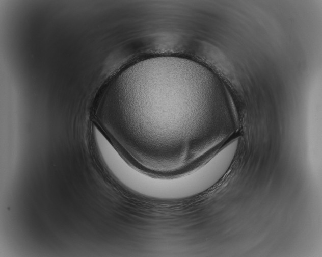 X0000092270164200710121347