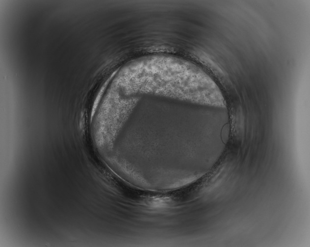 X0000092270165200710121347