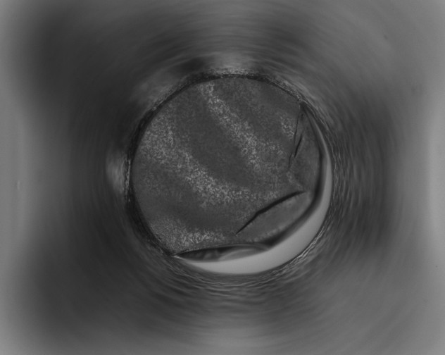 X0000092270168200710121347