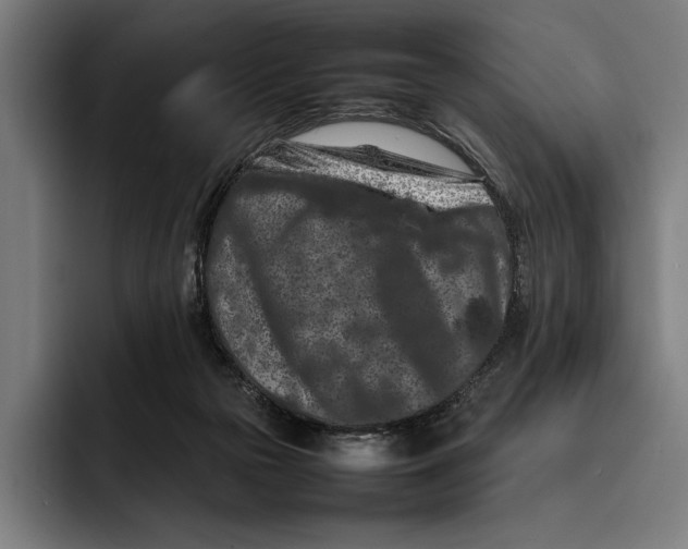 X0000092270169200710121347
