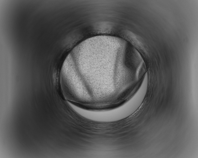 X0000092270172200710121347