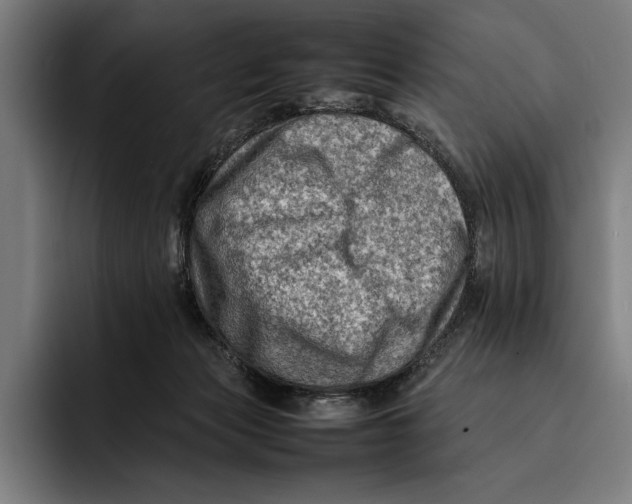 X0000092270173200710121347