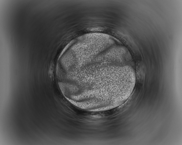 X0000092270175200710121347