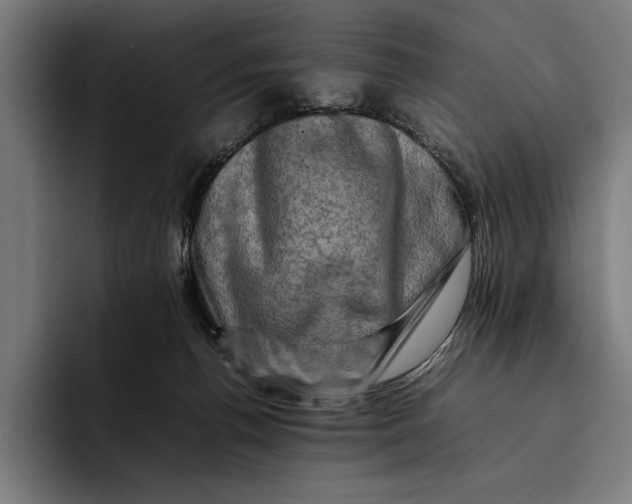 X0000092270176200710121347