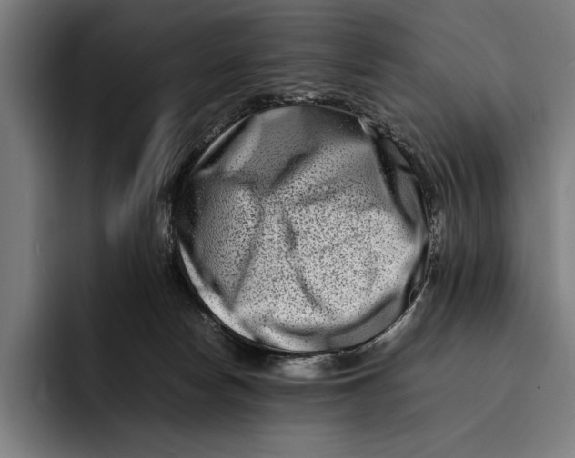 X0000092270178200710121347