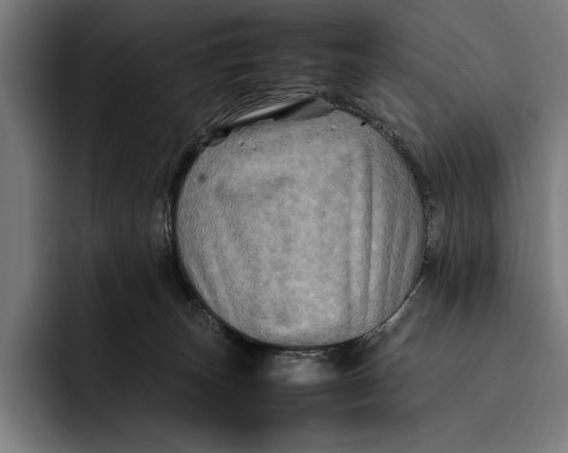 X0000092270179200710121347