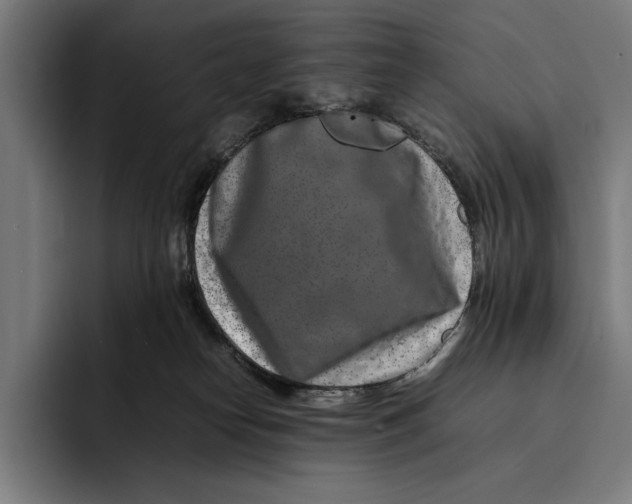 X0000092270182200710121347
