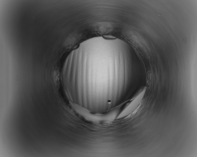 X0000092270184200710121347