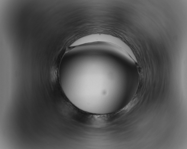 X0000092270188200710121347