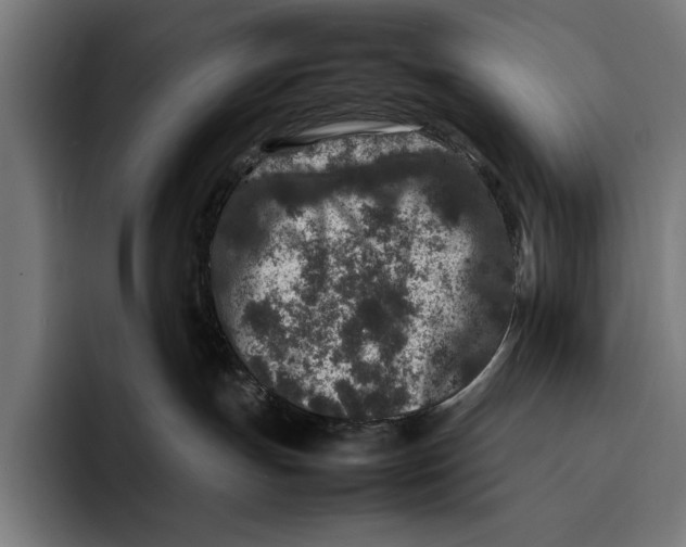 X0000092270191200710121347